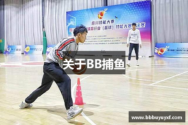 关于BB捕鱼